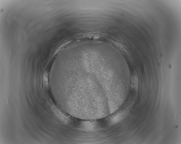 X0000085000238200703191058