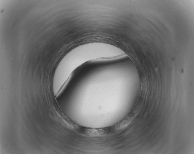 X0000085000239200703191058