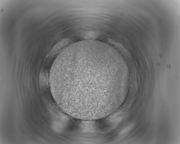 X0000085000240200703191058