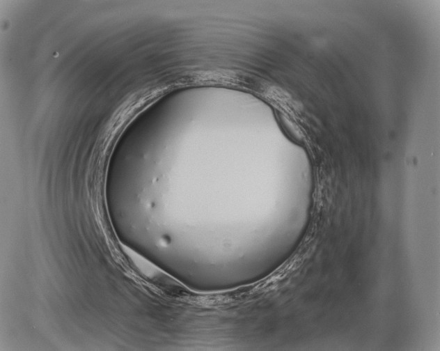 X0000085000241200703191057