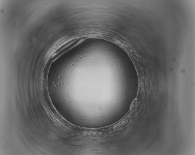 X0000085000242200703191057