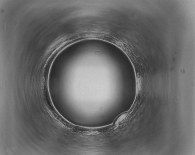 X0000085000243200703191057