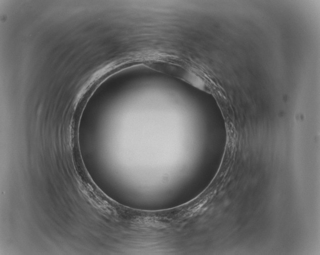 X0000085000244200703191057