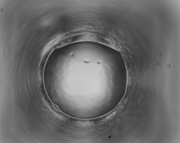 X0000085000245200703191057