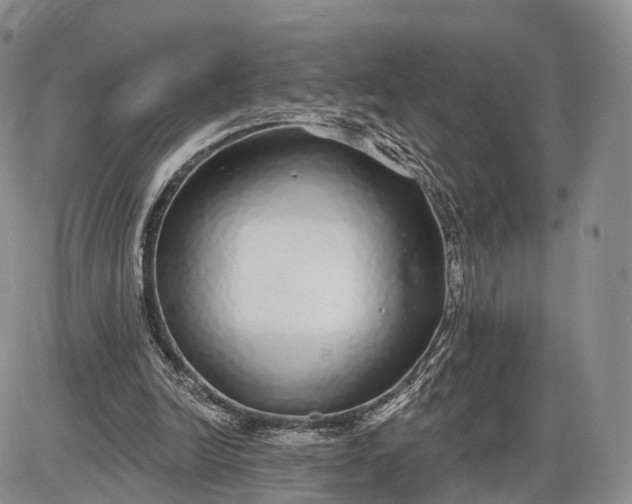 X0000085000246200703191057