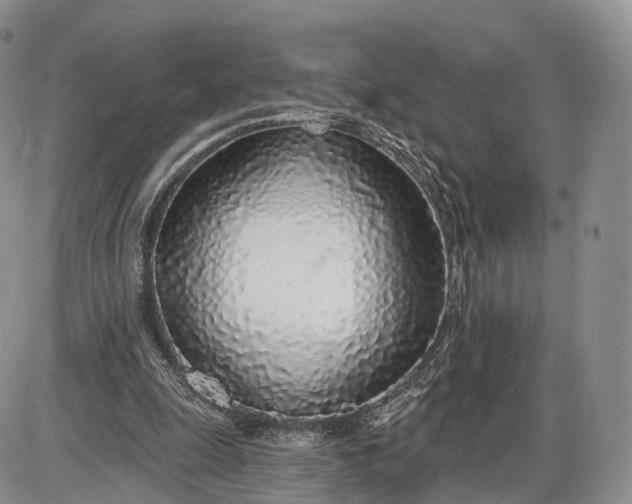 X0000085000247200703191057