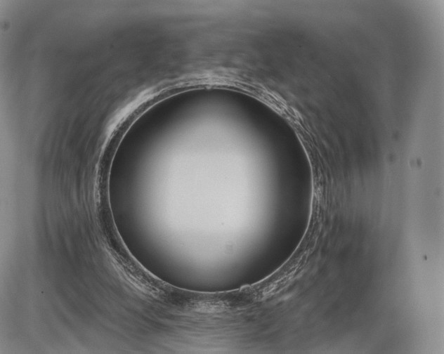 X0000085000248200703191057