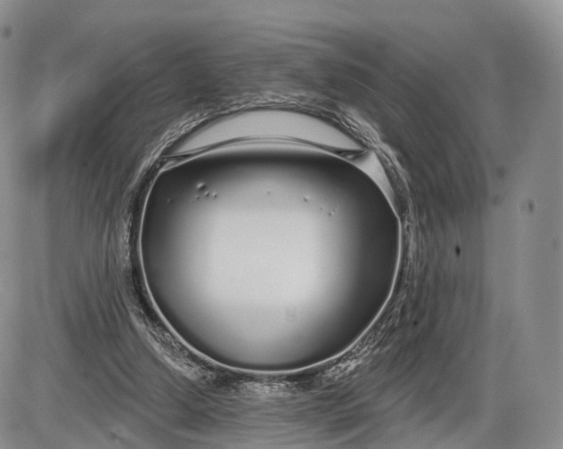 X0000085000250200703191057