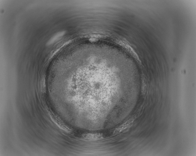 X0000085000251200703191057