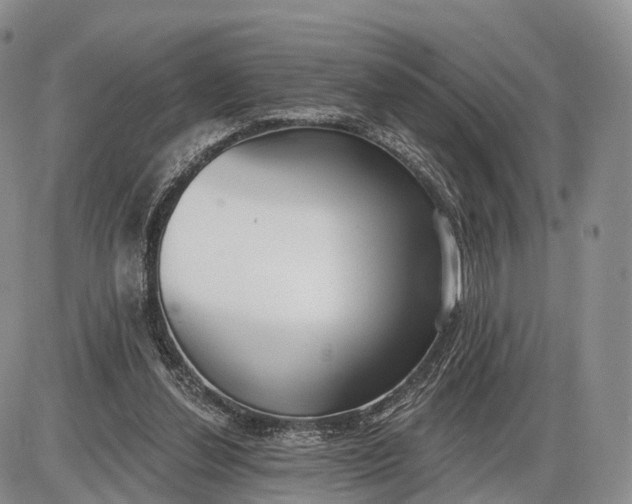 X0000085000252200703191057