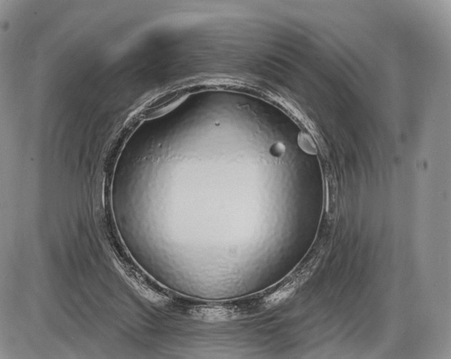 X0000085000253200703191057