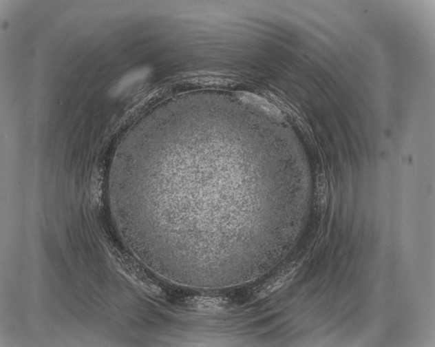 X0000085000255200703191057