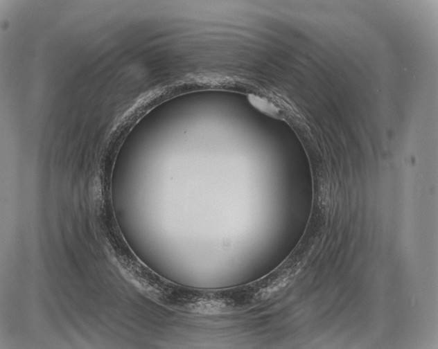 X0000085000256200703191057