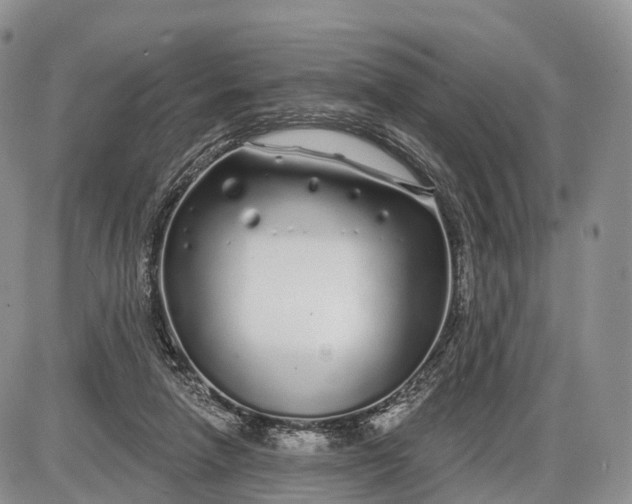 X0000085000258200703191057