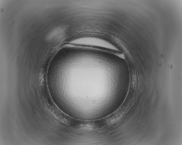 X0000085000259200703191057