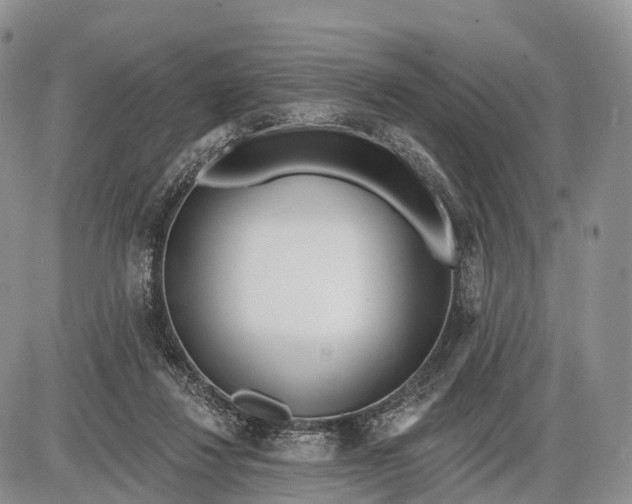 X0000085000260200703191057