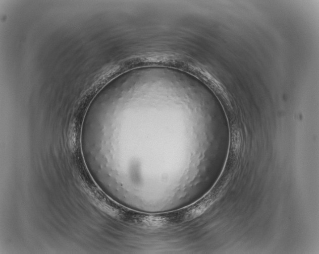 X0000085000261200703191057