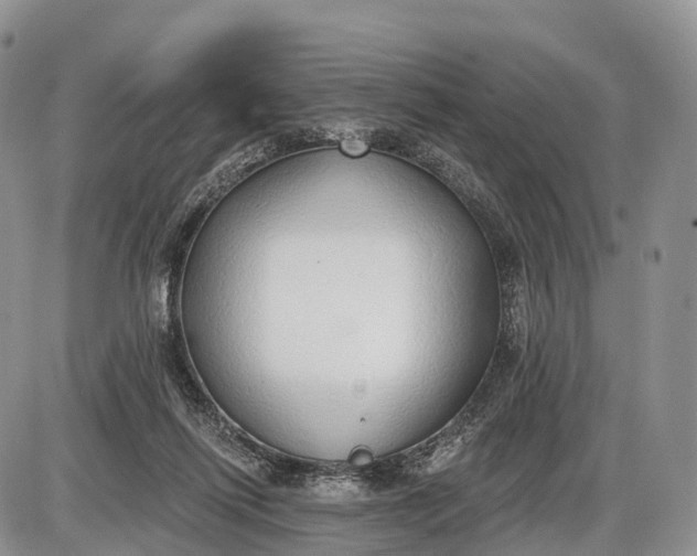 X0000085000262200703191057