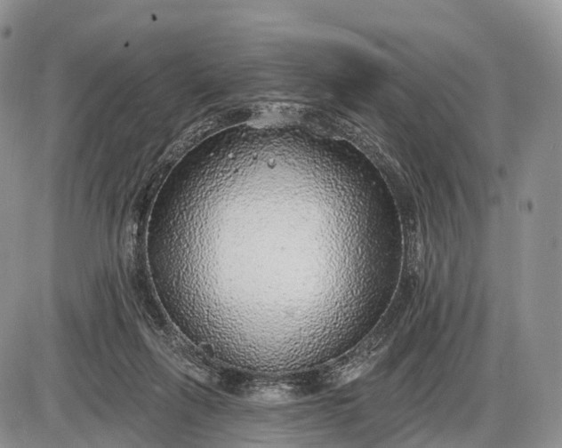 X0000085000263200703191057