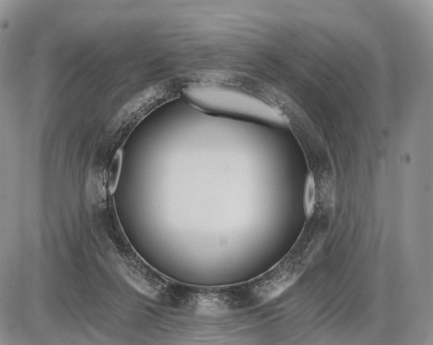 X0000085000264200703191057