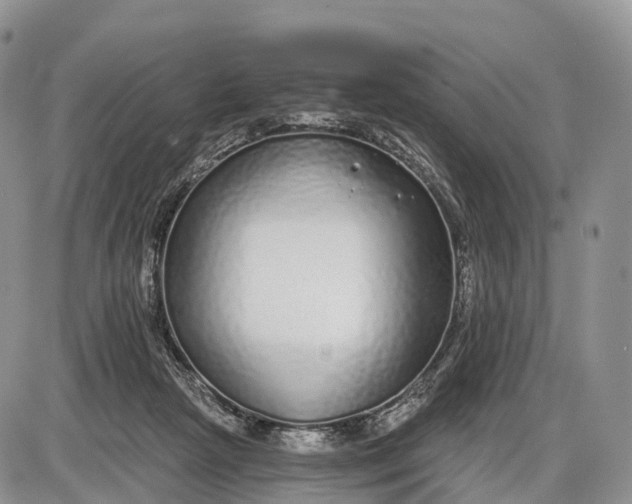 X0000085000265200703191057