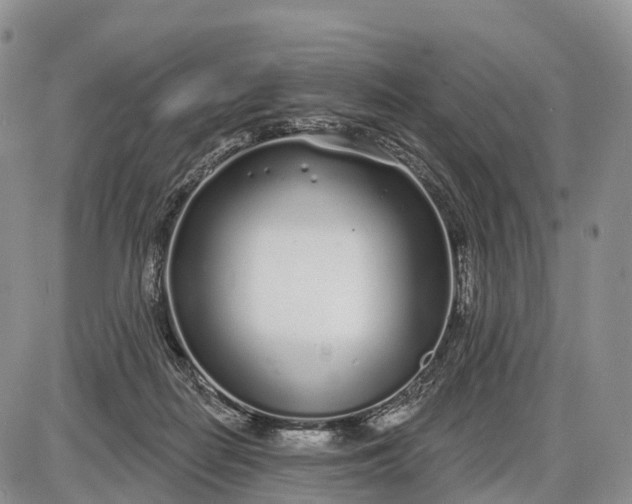 X0000085000266200703191057