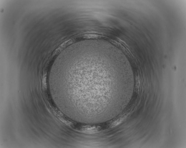 X0000085000267200703191057