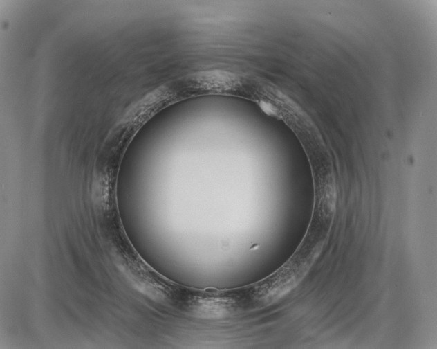 X0000085000268200703191057