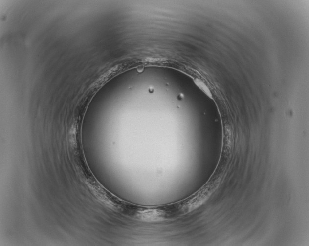 X0000085000269200703191057