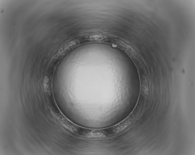 X0000085000270200703191057