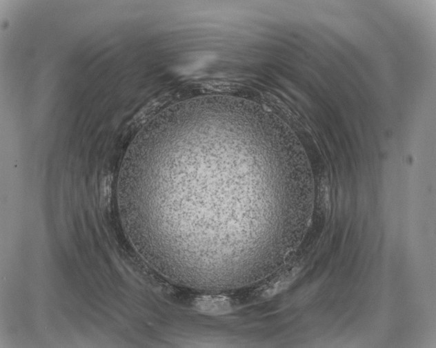 X0000085000271200703191057