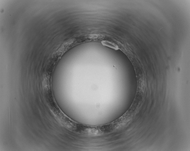 X0000085000272200703191057