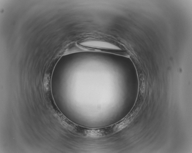 X0000085000273200703191057