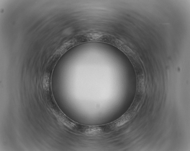 X0000085000274200703191057