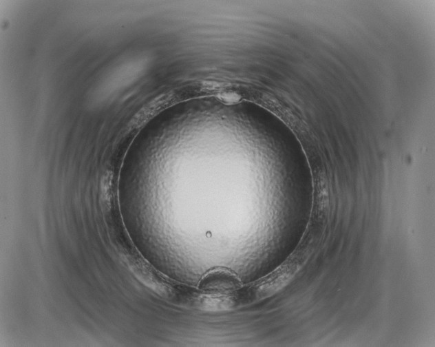 X0000085000275200703191057