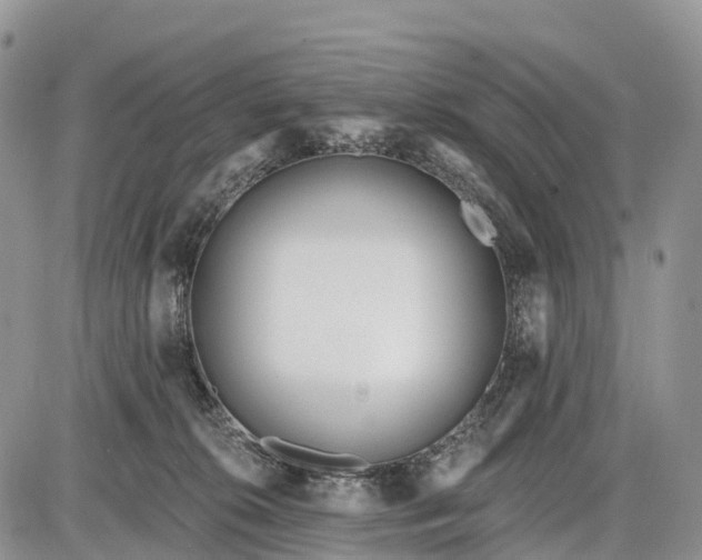 X0000085000276200703191057