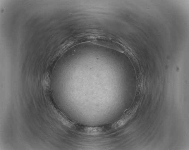 X0000085000277200703191057