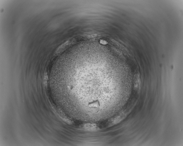 X0000085000279200703191057