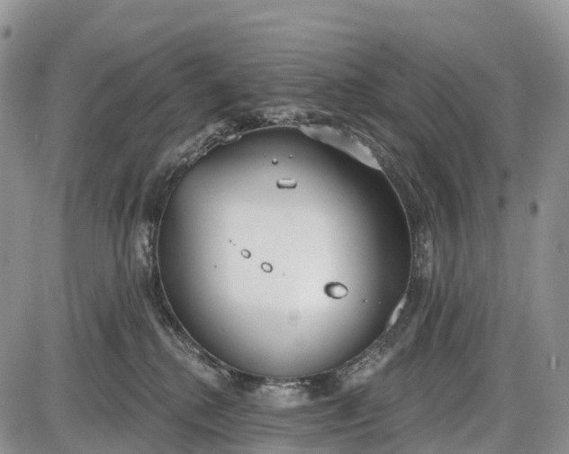 X0000085000280200703191058