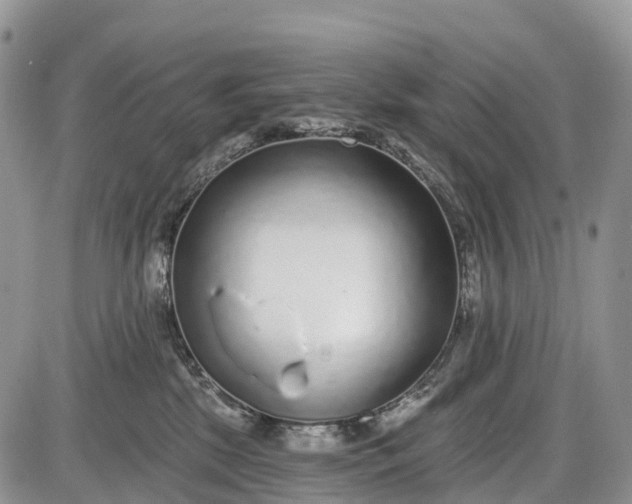 X0000085000281200703191058