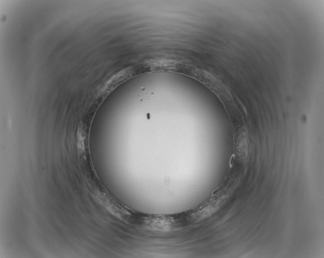 X0000085000282200703191058