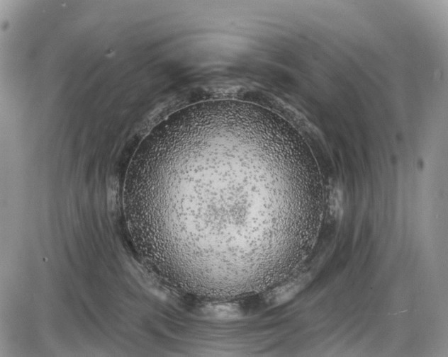 X0000085000283200703191058