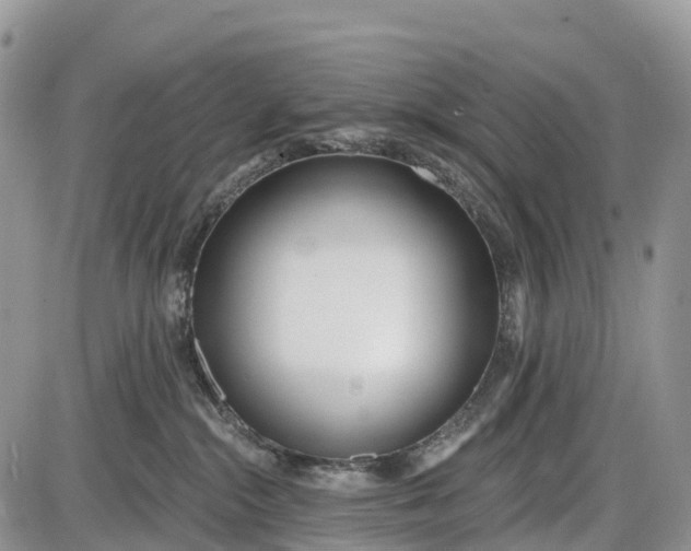 X0000085000284200703191058