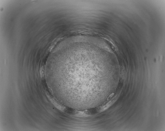 X0000085000285200703191058