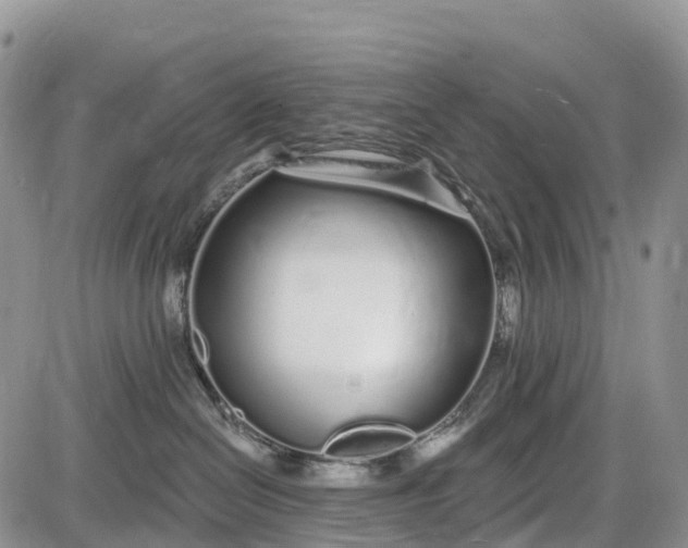 X0000085000286200703191058