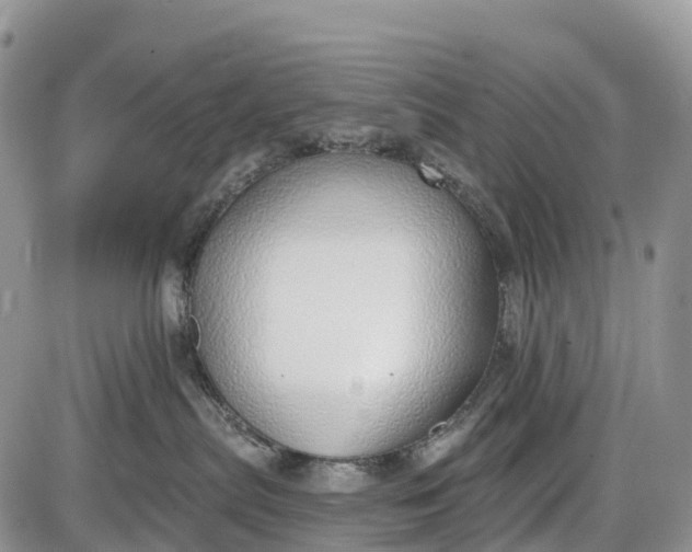 X0000085000287200703191058