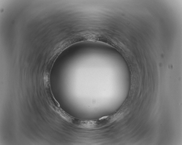 X0000085000288200703191058