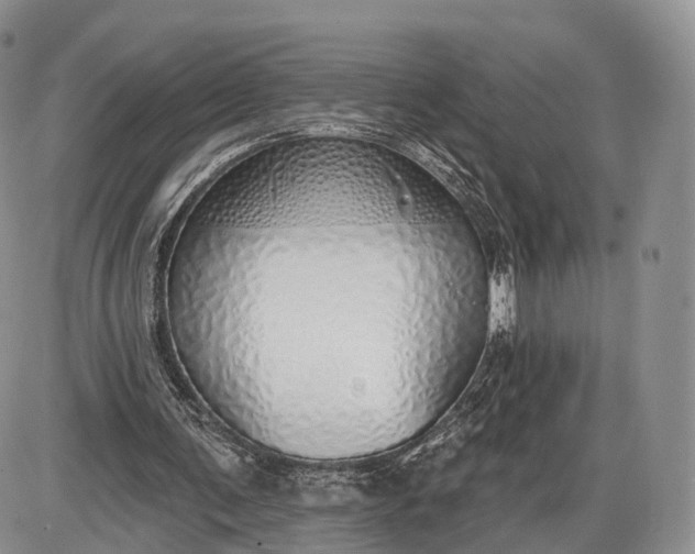 X0000085000291200703191057