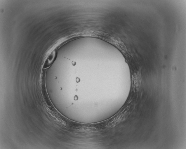 X0000085000292200703191057