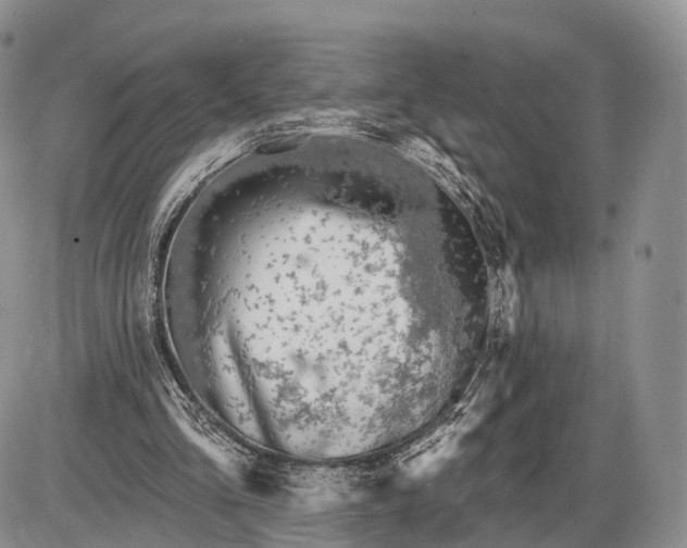 X0000085000293200703191057